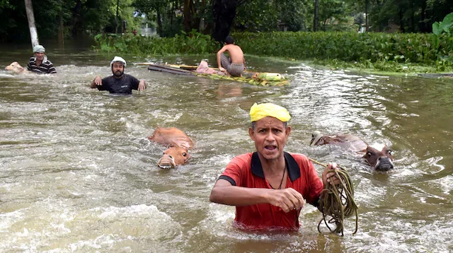 আসামে বন্যা : মৃত্যু বেড়ে ৭১, ক্ষতিগ্রস্ত ৪২ লাখ