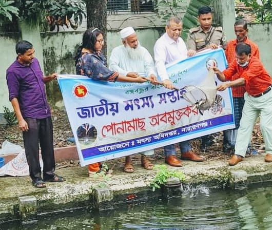 মৎস্য সপ্তাহ উপলক্ষ্যে না.গঞ্জে পুকুরে পোনামাছ অবমুক্ত