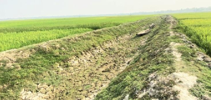 তীব্র খরায় বিপাকে বাগেরহাটের আমন ও মৎস্য চাষীরা