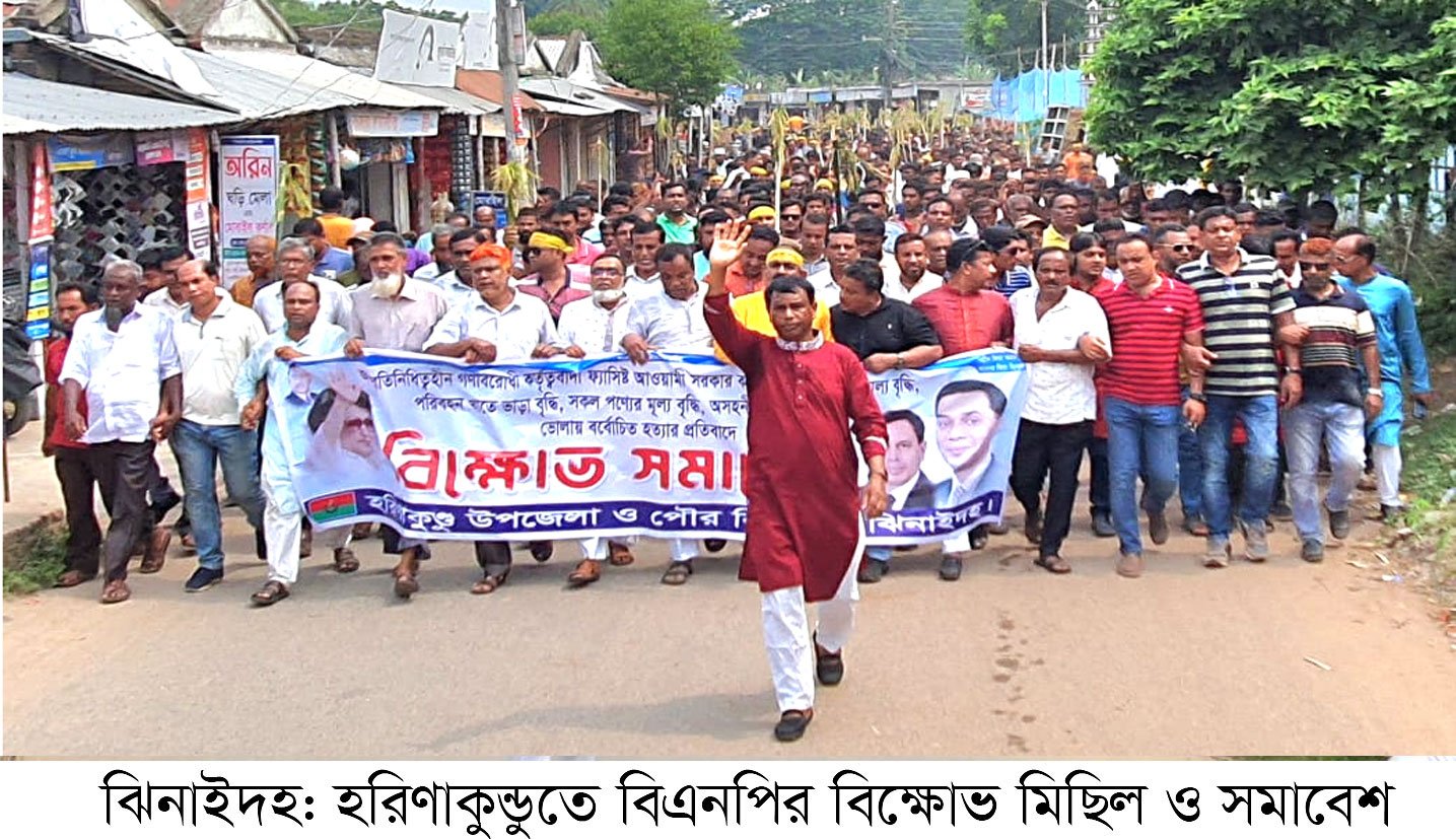 ঝিনাইদহে বিএনপির পৃথক পৃথক বিক্ষোভ মিছিল ও সমাবেশ