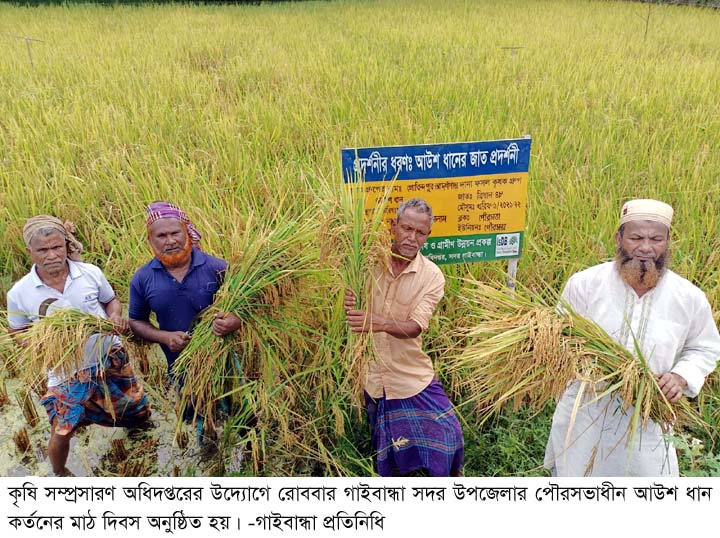 গাইবান্ধায় আউশ ধান কর্তনের মাঠ দিবস অনুষ্ঠিত