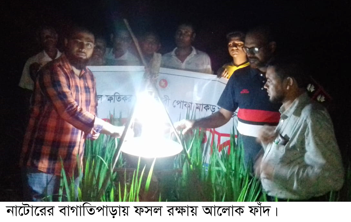 বাগাতিপাড়ায় ফসল রক্ষায় আলোক ফাঁদ
