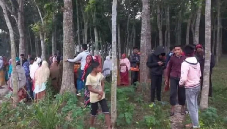 ঝিনাইদহে মেহগনী বাগান থেকে যুবকের লাল উদ্ধার