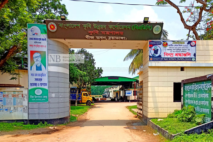 বিএডিসি’র কৃষি প্রণোদনার বীজ দেরিতে সরবরাহ, আবাদ লক্ষ্যমাত্রা অর্জিত হয়নি