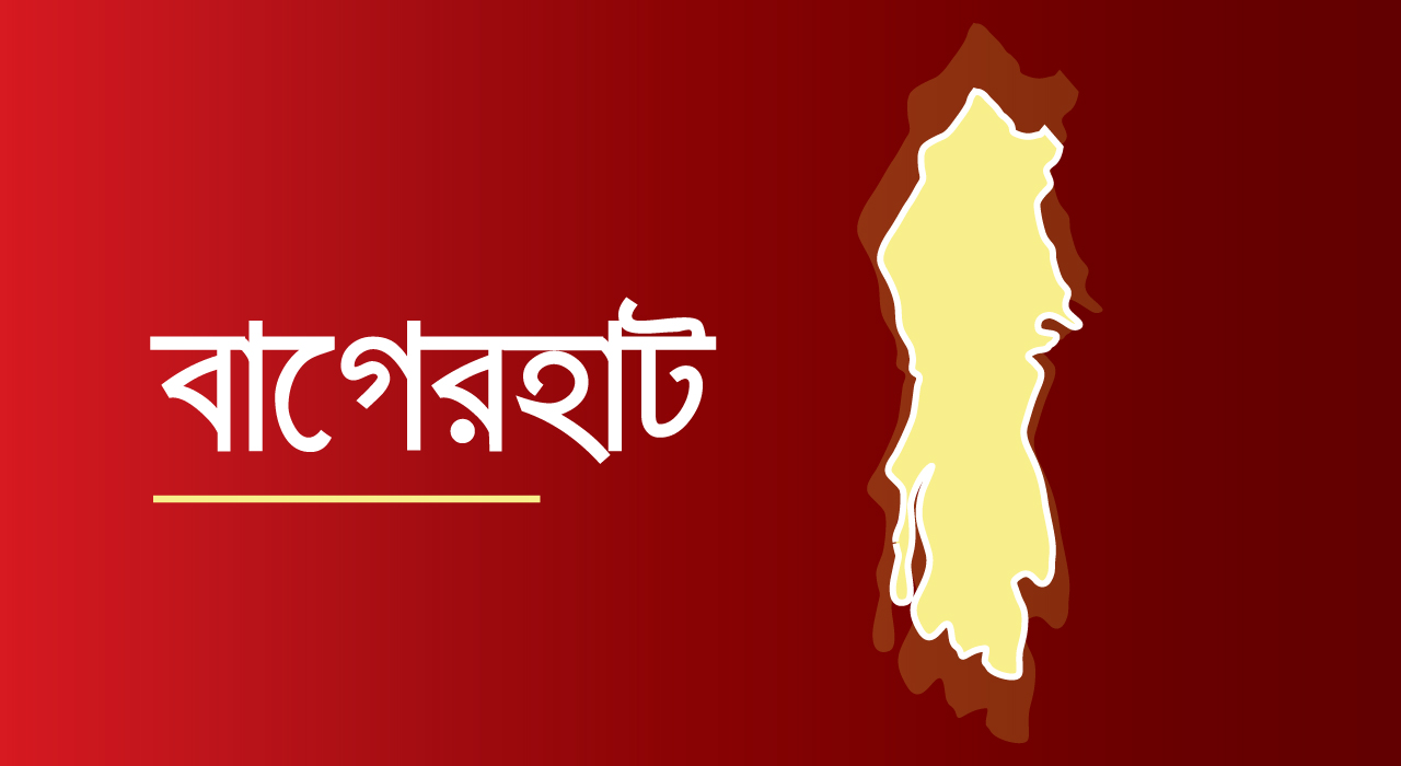 বাগেরহাট যুবলীগের সম্মেলন, নেতাকর্মীদের মাঝে উচ্ছাস