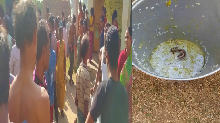 স্কুলের খাবারে সাপ, অসুস্থ শিক্ষার্থীরা!