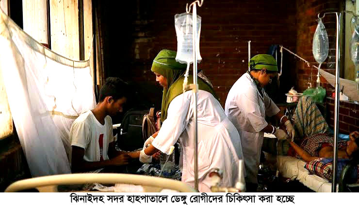ঝিনাইদহে চোখ রাঙাচ্ছে ডেঙ্গু, বেশির ভাগ ঢাকায় আক্রান্ত