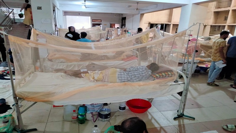 ডেঙ্গুতে ১ দিনে ১৩ জনের মৃত্যু