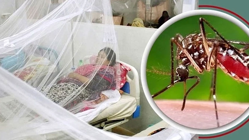 ১ দিনে ১২৪৬ ডেঙ্গুরোগী হাসপাতালে, ৫ জনের মৃত্যু