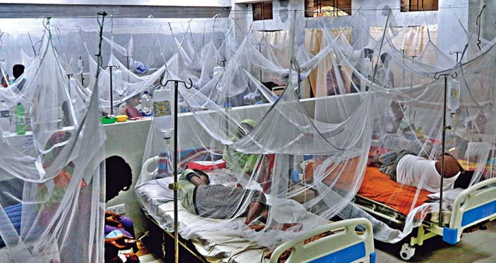 ডেঙ্গু : ১৪ জনের মৃত্যু, হাসপাতালে ভর্তি ২৪৩২