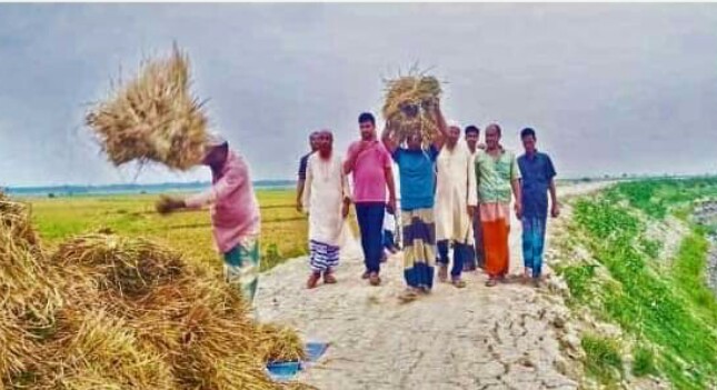 বেড়িবাঁধ নির্মাণে সুফল পাচ্ছে কটিয়াদীর কৃষক সমাজ 