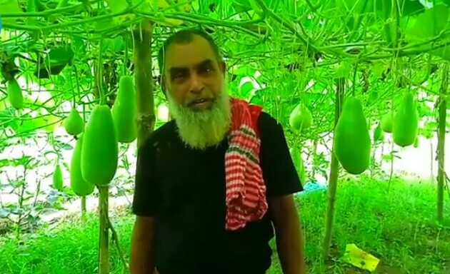 আগাম লাউ চাষে স্বাবলম্বী কৃষক আফাজ উদ্দিন