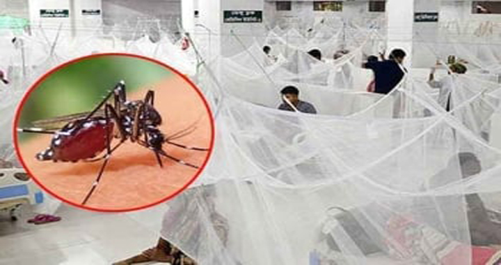 ডেঙ্গু : আরও ৯ মৃত্যু, হাসপাতালে আরও ৪৫৯