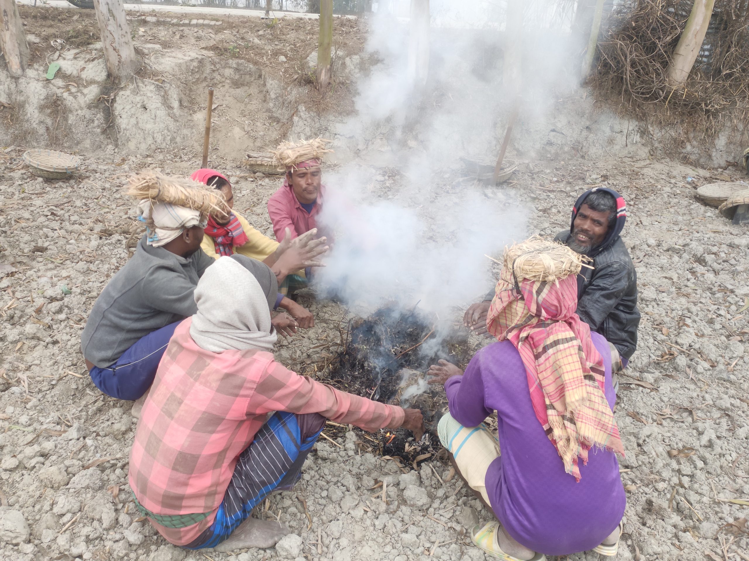 কুড়িগ্রামে তীব্র ঠান্ডায় বীজতলা ও আবাদ নিয়ে দুঃশ্চিন্তায় কৃষকরা