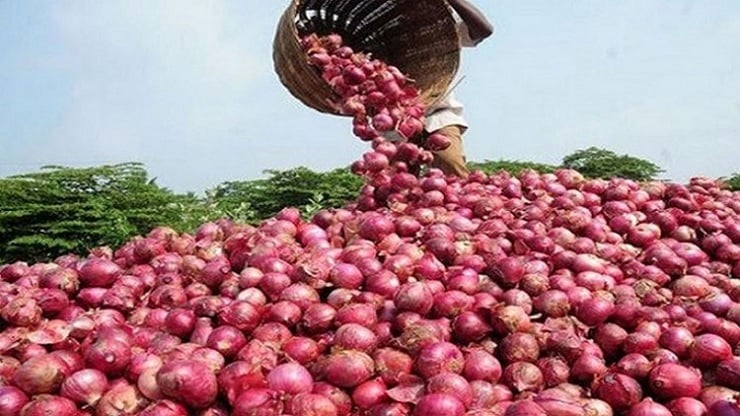 পেঁয়াজ রপ্তানিতে নিষেধাজ্ঞা প্রত্যাহার করেছে ভারত
