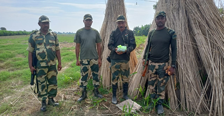 সীমান্ত এলাকা থেকে ৫.৯ কেজি রুপার দানা জব্দ করলো বিএসএফ