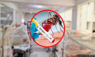 ডেঙ্গুতে আরও ৫ জনের মৃত্যু : হাসপাতালে ভর্তি ৯৮১