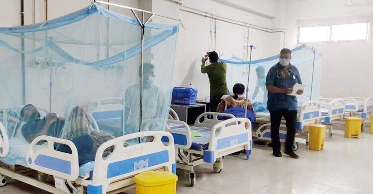 ডেঙ্গুতে আরও ৫ মৃত্যু
