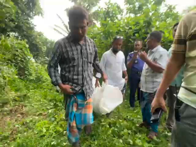মুন্সীগঞ্জের টঙ্গীবাড়ীতে শিক্ষার্থীকে শ্বাসরোধে হত্যা, অভিযুক্ত আ’টক