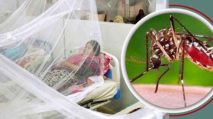 ডেঙ্গুতে ১জনের মৃত্যু, হাসপাতালে ভর্তি ৩৯৩
