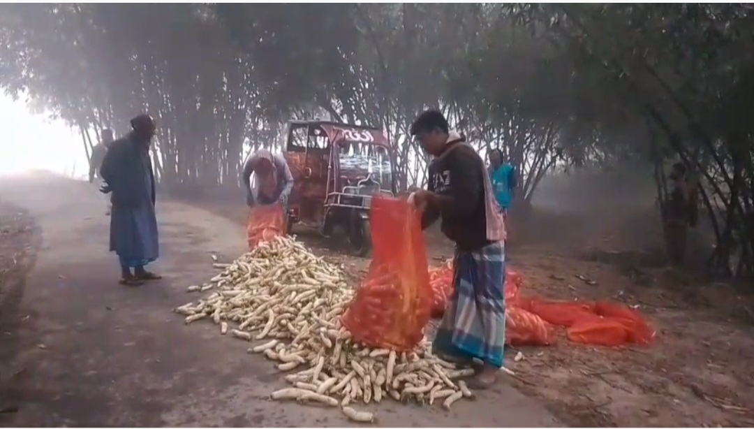 কুড়িগ্রামে সর্বনিম্ন তাপমাত্রা ১২ দশমিক ৫ডিগ্রী সেলসিয়াস সবচেয়ে ভোগান্তিতে শিশুসহ বৃদ্ধরা
