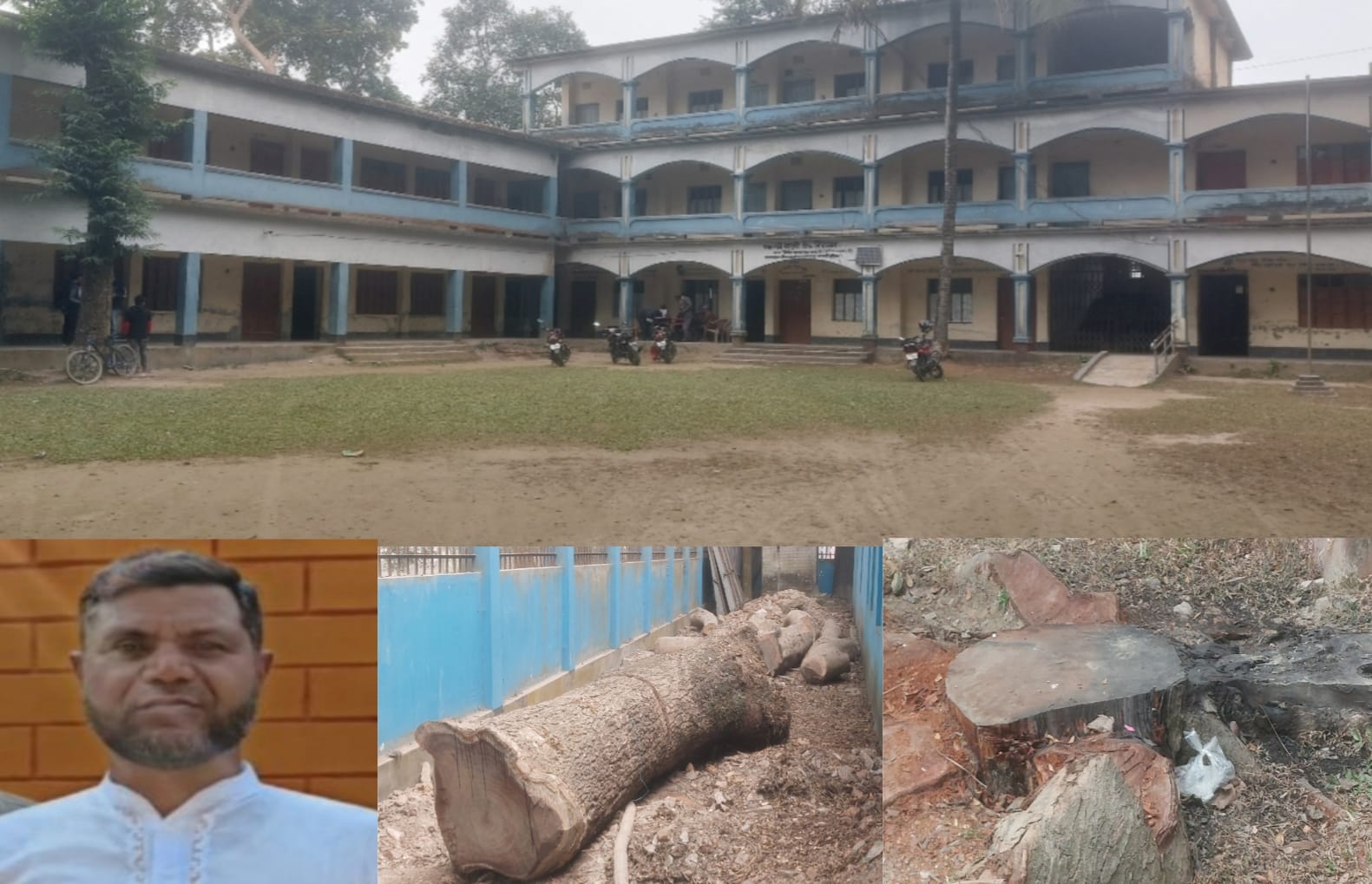 কচাকাটা হাইস্কুলের ৭লাখ টাকার গাছ ৯৯ হাজারে বিক্রি!