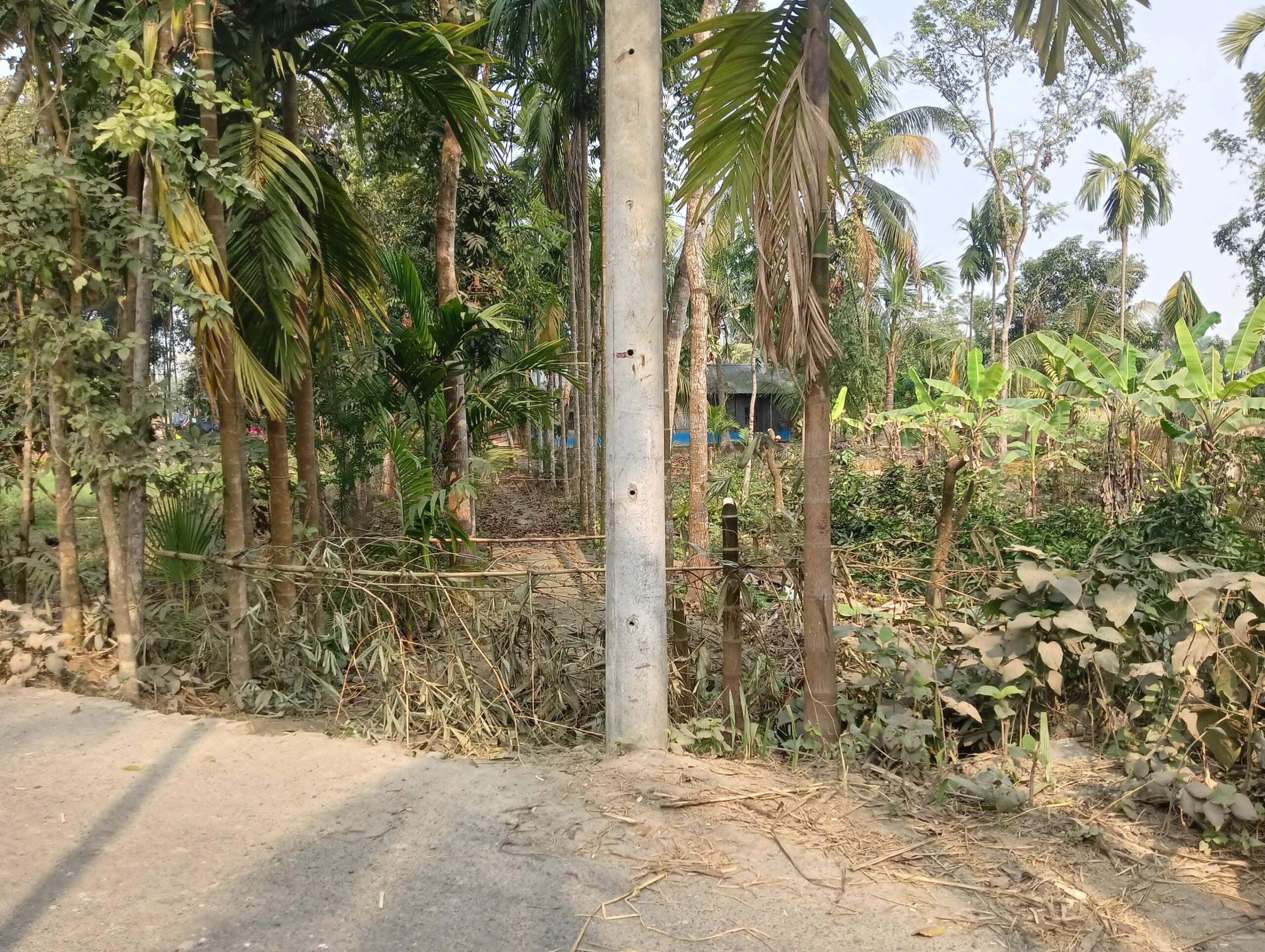 বাগাতিপাড়ায় আ’লীগ নেতার দখলে ভ্যানচালকের একমাত্র রাস্তা
