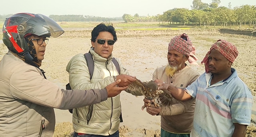 বাগাতিপাড়ায় কারেন্ট জালে দেশি-অতিথি পাখি শিকার