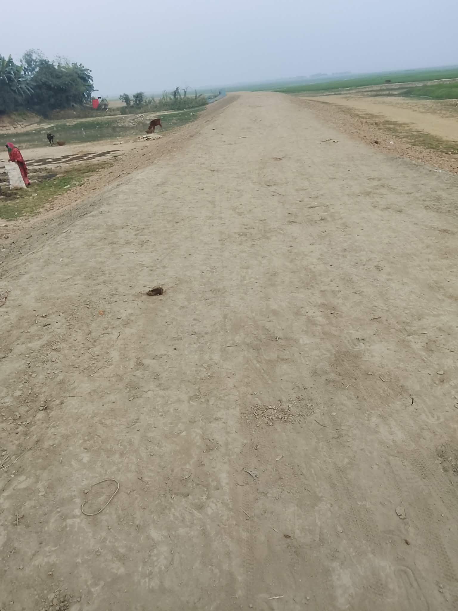 বিরামহীন ভাবে হাওর রক্ষা বাধ নির্মাণে কাজ করে যাচ্ছে শান্তিগঞ্জ পানি উন্নয়ন বোর্ড