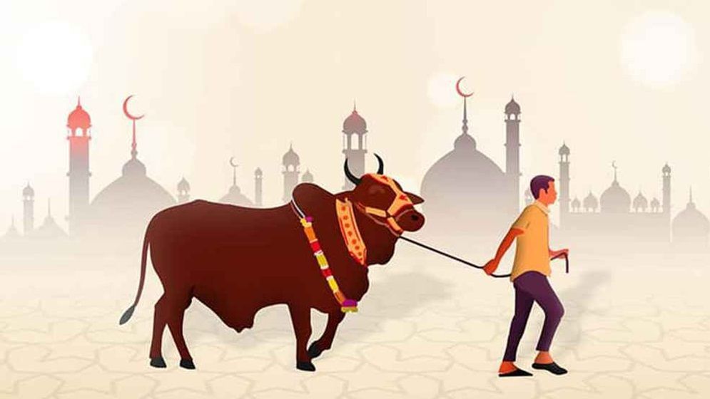 The Necessity of Slaughterhouses During Qurbani Eid and Beyond in Bangladesh