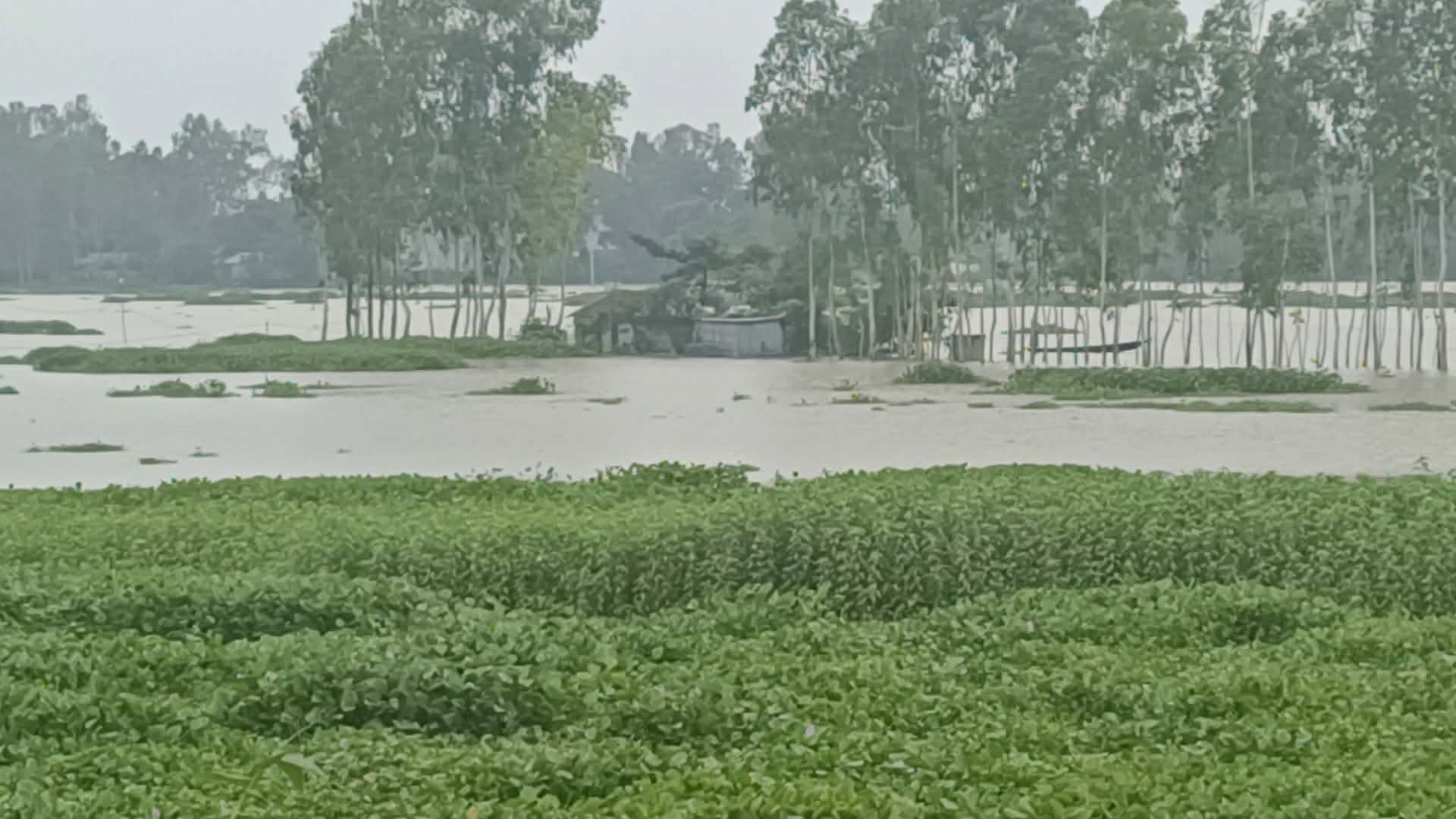 বানের পানিতে প্লাবিত কুড়িগ্রামের নিম্নাঞ্চল, পানিবন্দী প্রায় ১০ হাজার মানুষ