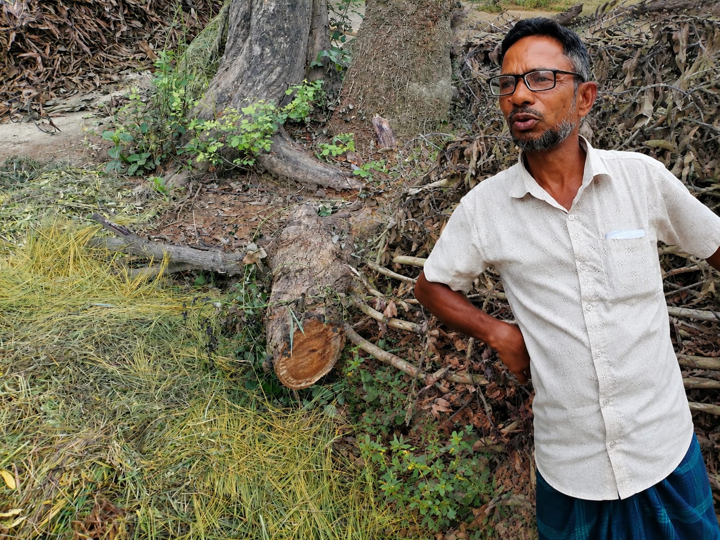 গোমস্তাপুরে সরকারি রাস্তার গাছ কাটার অভিযোগ বিএনপি নেতার বিরুদ্ধে