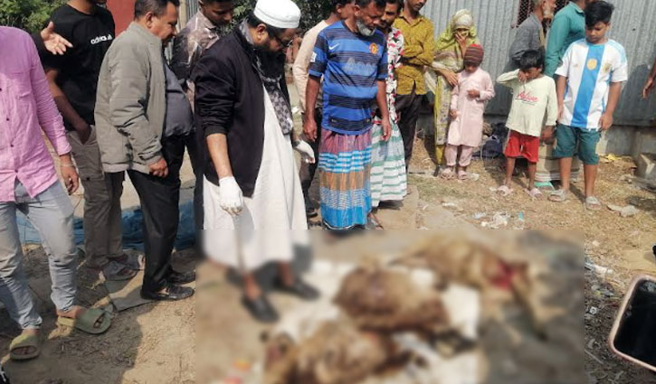 মুন্সীগঞ্জে খামারির ১১টি ভেড়া কুপিয়ে হত্যা