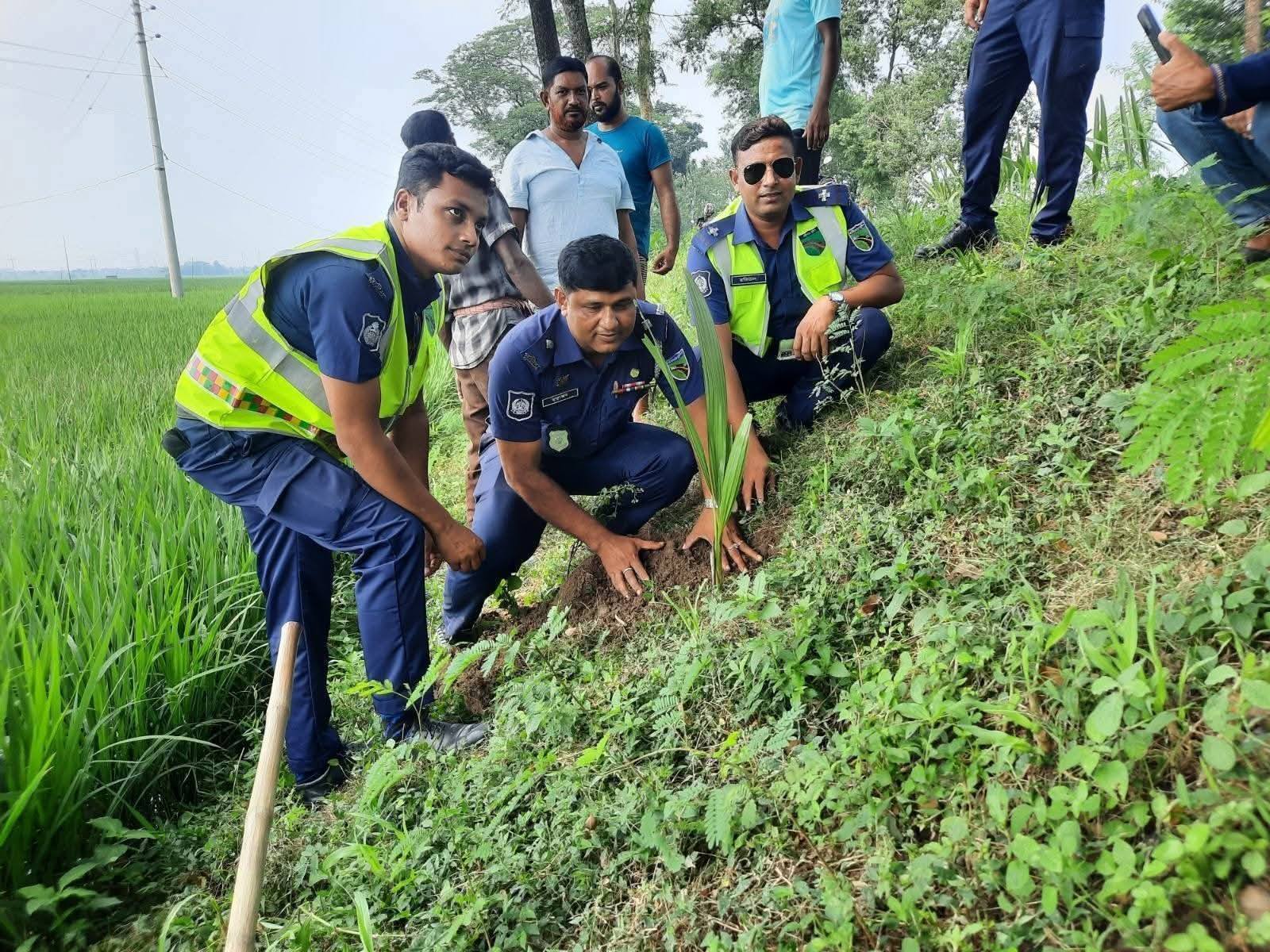 বজ্রপাত প্রতিরোধ ও পরিবেশ রক্ষায় তাল গাছ রোপণ করলো ঝিনাইদহ হাইওয়ে পুলিশ