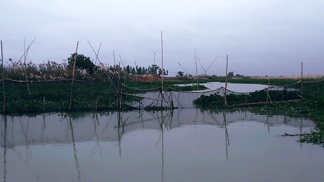 টঙ্গীবাড়ীতে পদ্মার শাখা খালে বাঁধ দিয়ে নৌযান চলাচলে বাধ