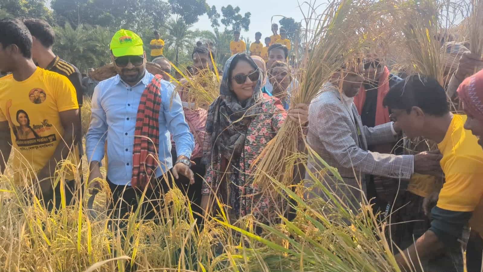 কৃষকের জমির ধান কেটে দিলেন ধানের শীষ প্রার্থী পুতুল
