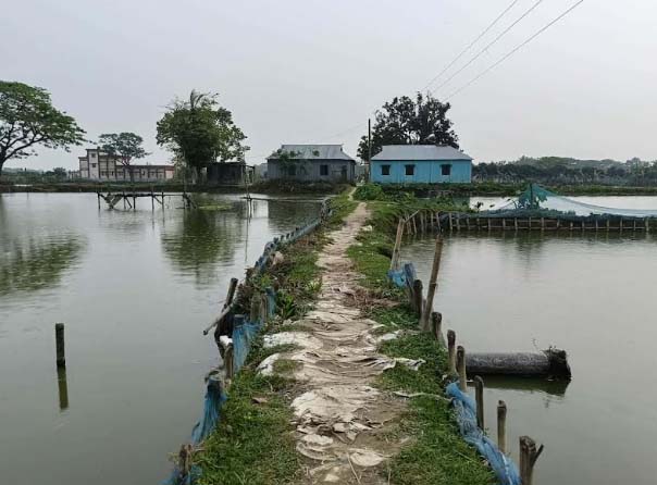ফিসারির দখলে বিলীন সড়ক : চরম দুর্ভোগে কয়েক হাজার গ্রামবাসী