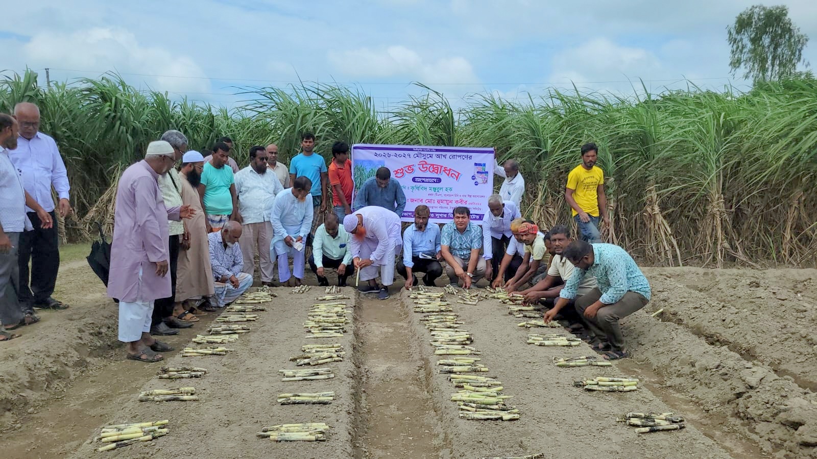 ঠাকুরগাঁওয়ে আখ রোপণ কার্যক্রম শুরু